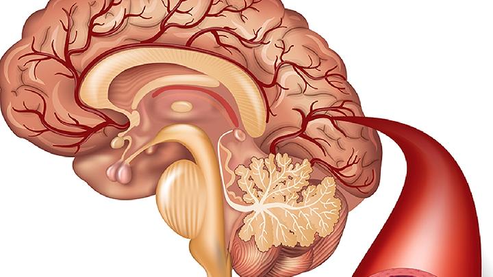 秋天雾霾严峻易患病？教你4招做到科学防护，少患病！